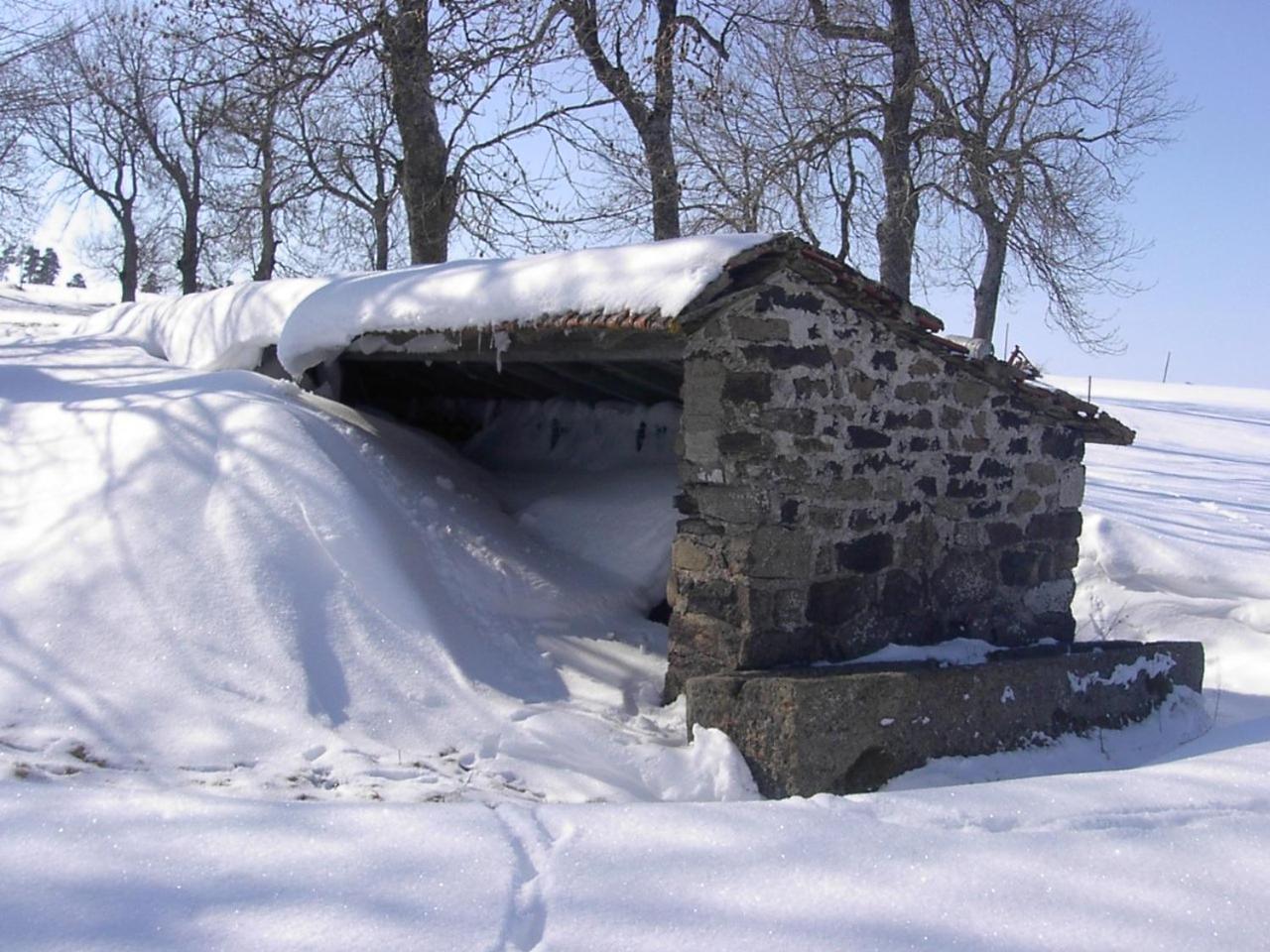 Maison De Famille Au Plateau Du Mezenc Les Vastres ภายนอก รูปภาพ